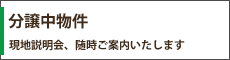 分譲物件